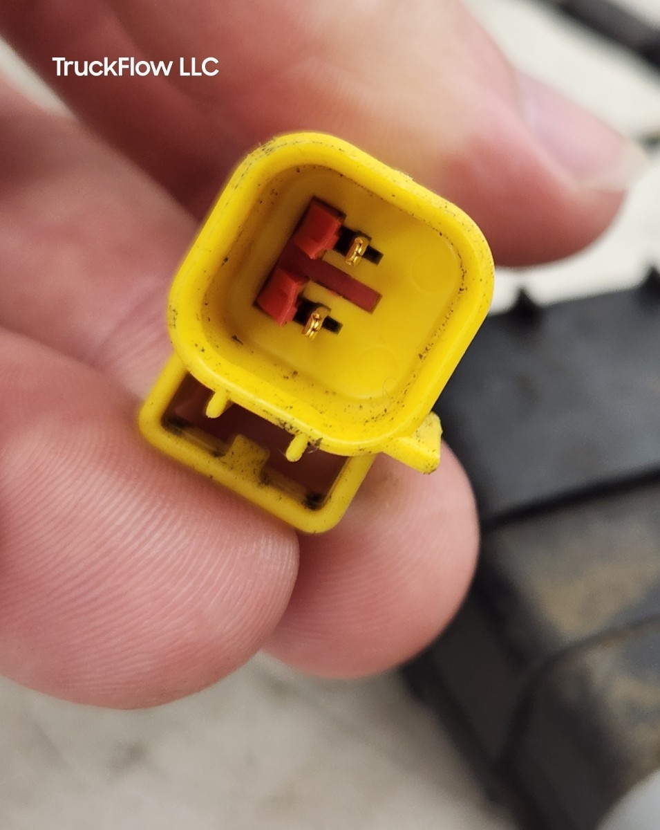 45181926