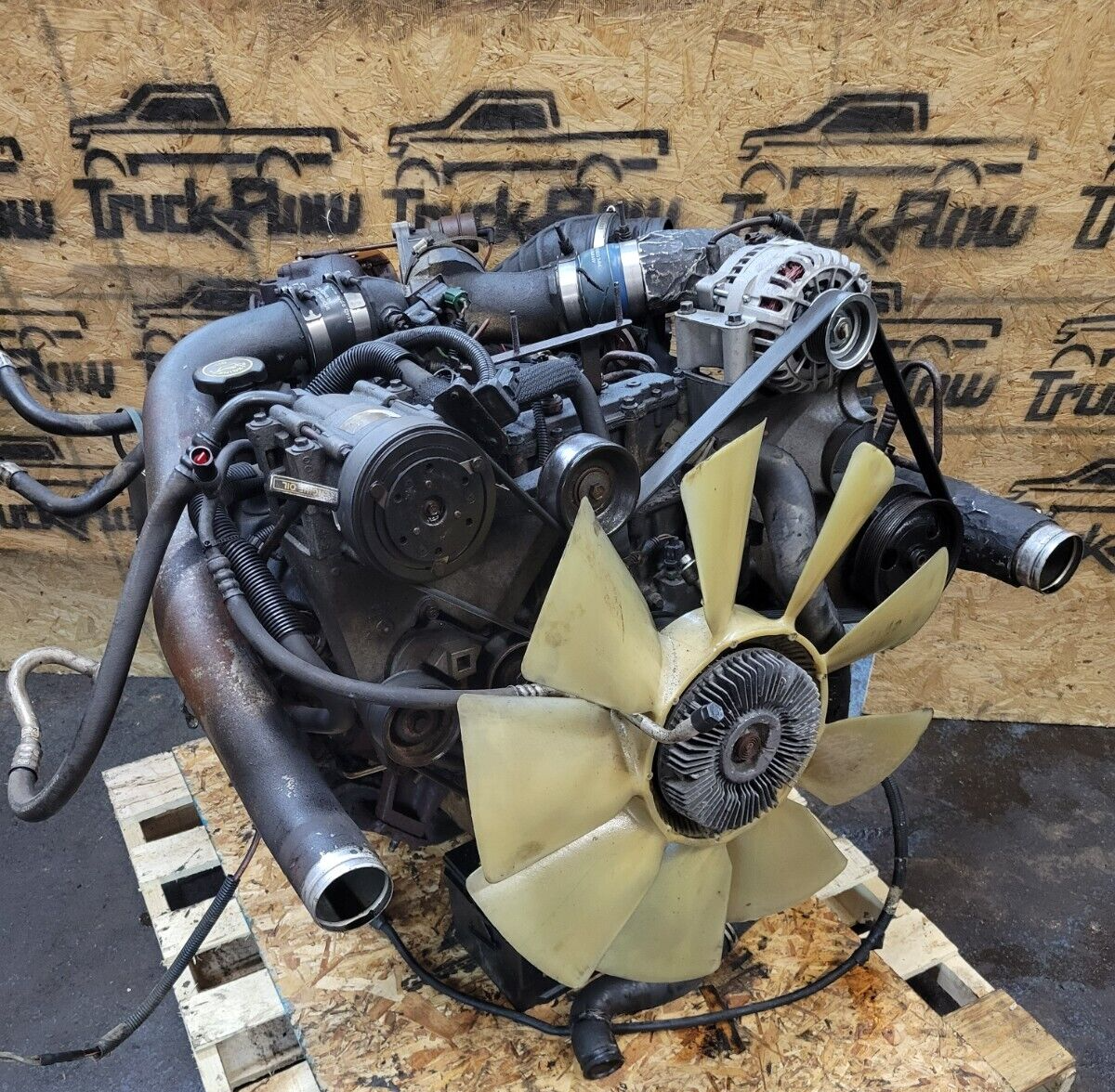 44323111