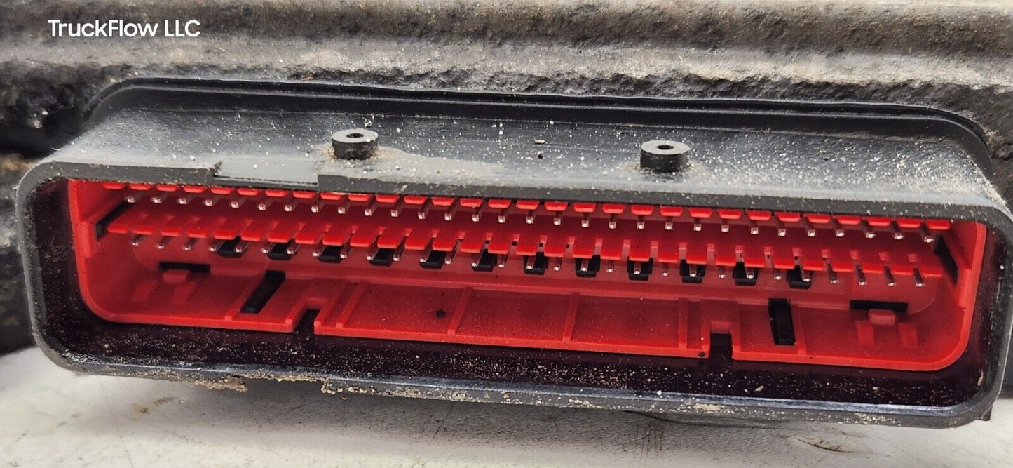 44203804