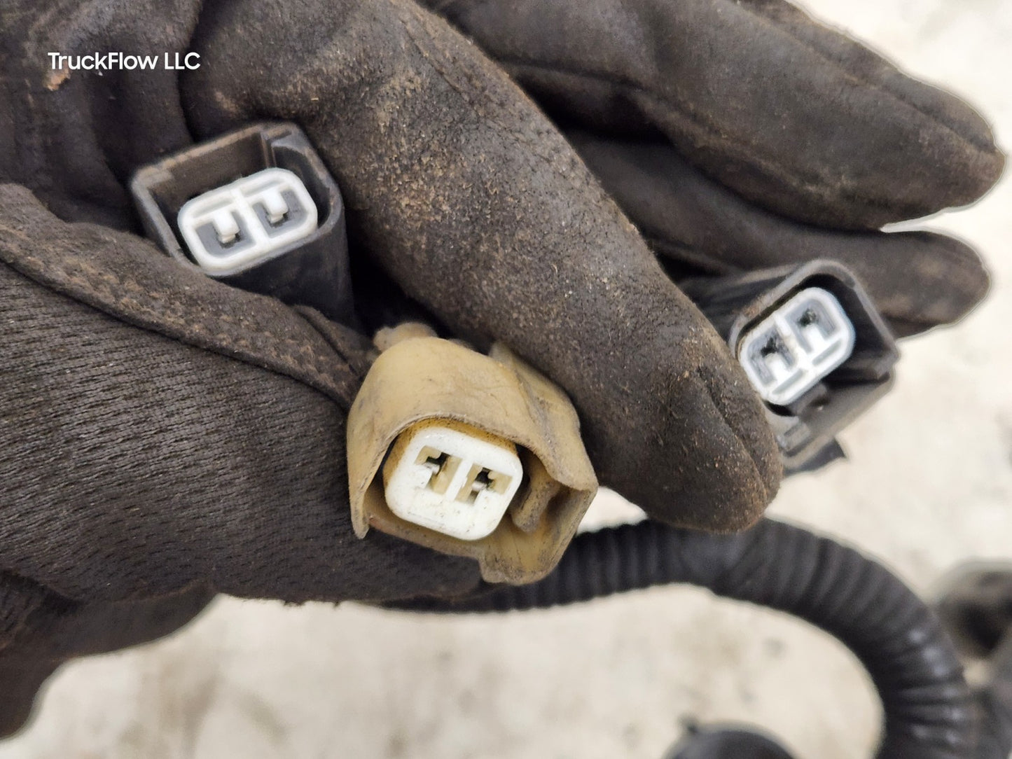 45344425