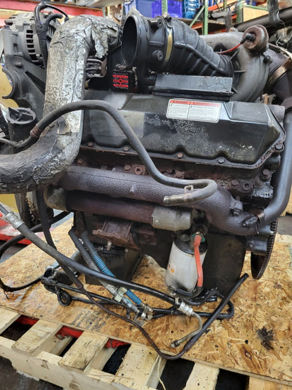 44323111