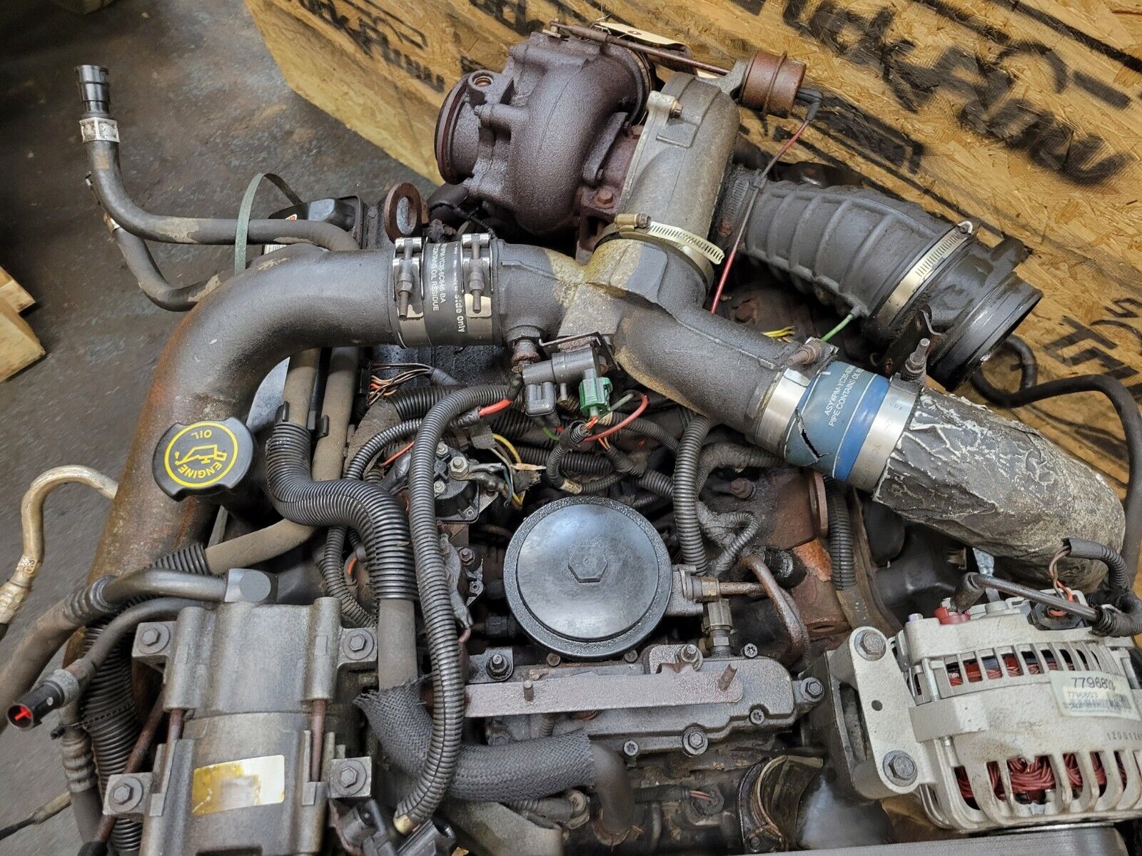44323111