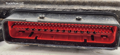 44203804